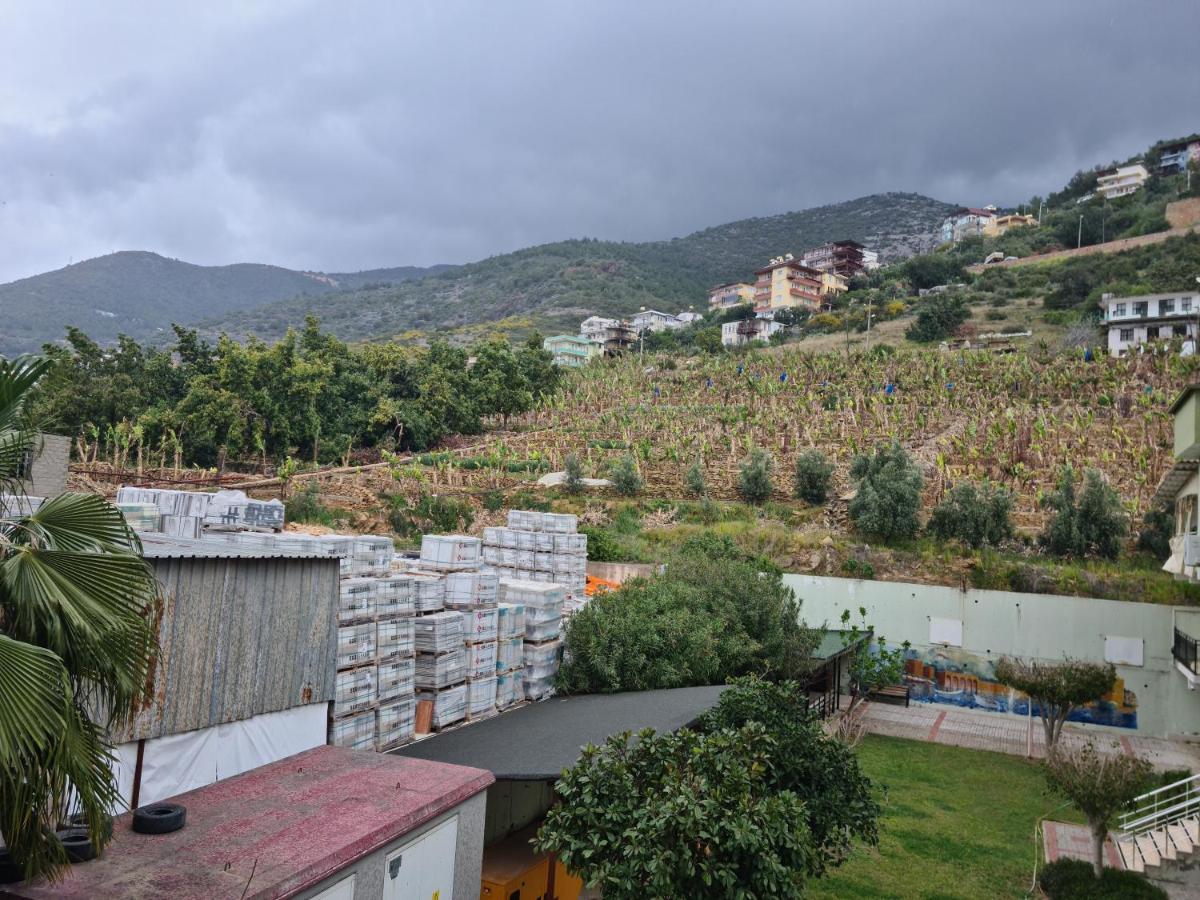 Apartmán Kleopatra Sultan Rezidans Alanya Exteriér fotografie